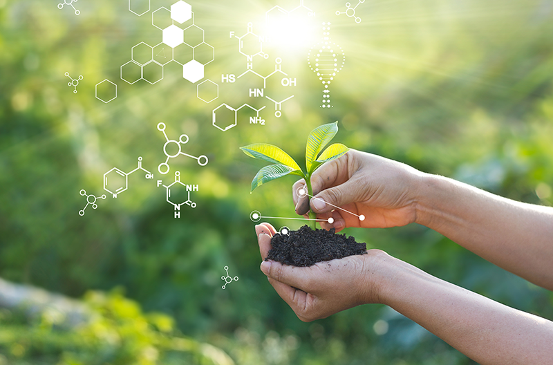 Tiefenbacher Group - Hands holding soil with a small green seedling, surrounded by digital chemical formulas and hexagons, with sunlight shining in a blurred green background, symbolizing science and growth in pharmaceutical healthcare solutions.
